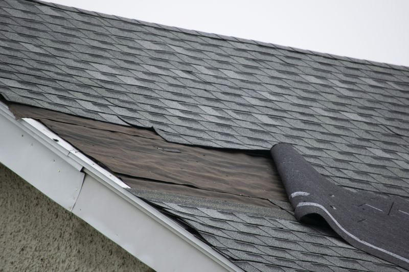Expert Roofing Technician